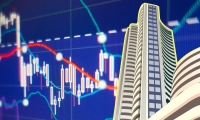 9月集团猪企出栏积极 Q4养殖盈利或将持续