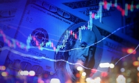 中超控股：公司旗下增加了南京中超新材料股份有限公司、科耐特电缆附件股份有限公司等